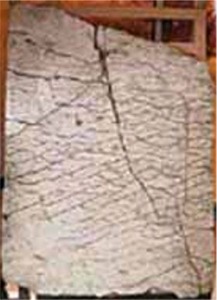 A Pedra de Dashka: 
Este ladrilho representaria um mapa em relevo Oural, 
estabelecido h vrias dezenas de milhes de anos.