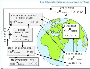 Les différents réservoirs de Carbone sur Terre